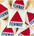 18" Fenway Boston Pillow
